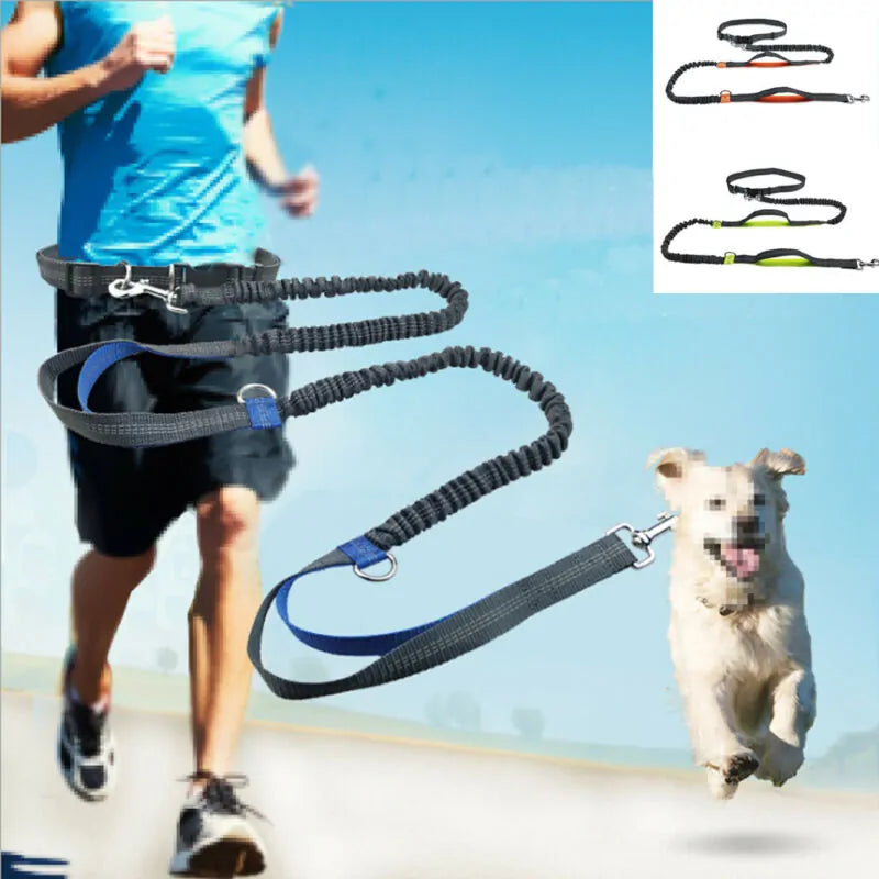 Reflective Leash