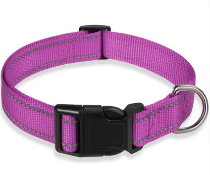 Reflective Collar