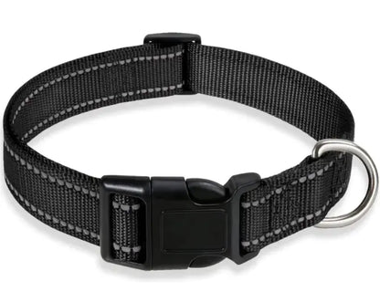 Reflective Collar