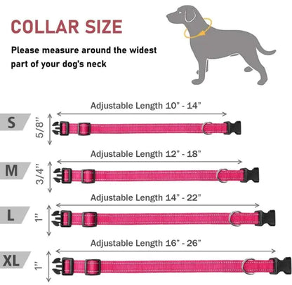 Reflective Collar