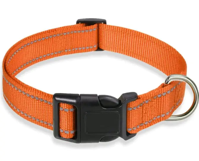 Reflective Collar