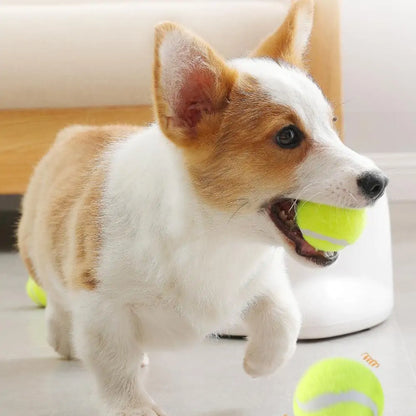 Automatic Interactive Pet Toy