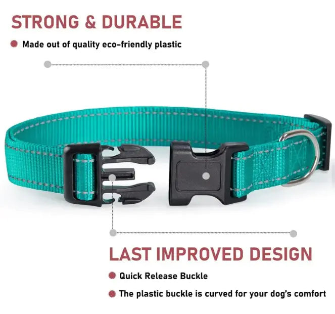 Reflective Collar