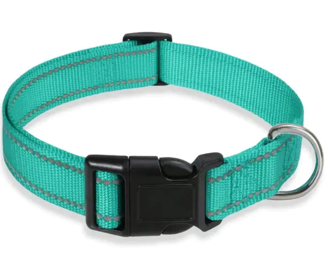 Reflective Collar