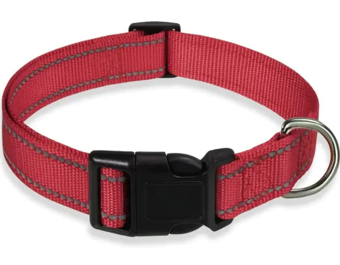 Reflective Collar