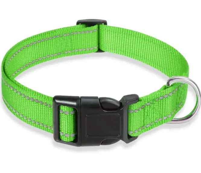 Reflective Collar